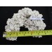Medium Natural Reef Rox Base Medium Natural Reef Rox Base